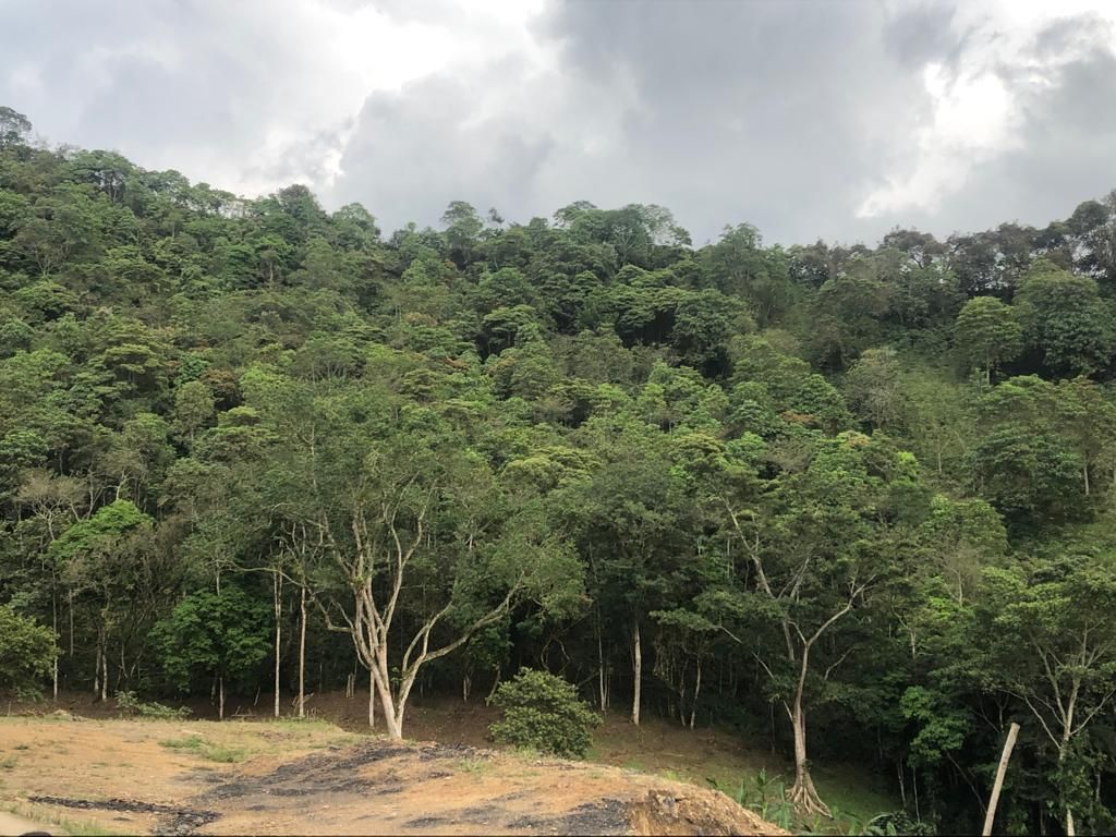 Inmueble en Venta, Finca en Sasaima, SASAIMA