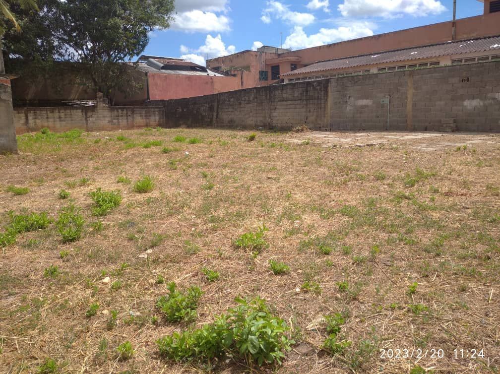 Terreno en venta centro de Tinaquillo
