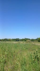 10 HECTÁREAS A SOLO 400 METROS DE RUTA-CARAPEGUÁ – NUEVA ITALIA