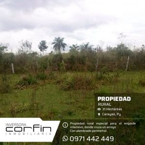 32HAS EN CARAYAO, COLONIA SANTA CATALINA, A KMS. DE LA RUTA ASFALTADA, SE PUEDE DIVIDIR