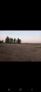 5280M2 sector poniente Linares cam.pañmilla kmtr.1