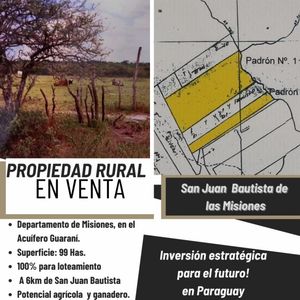 99 HECTÁREAS EN SAN JUAN BAUTISTA DE LAS MISIONES/ OPORTUNIDAD DE INVERSIÓN