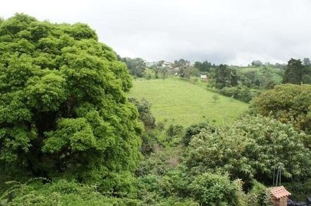 Alquiler de Casa en San Jerónimo de Moravia. Foto 5 de 10