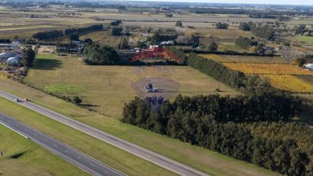 ALQUILER PREDIO SUBURBANO DE 1 HA PROGRESO