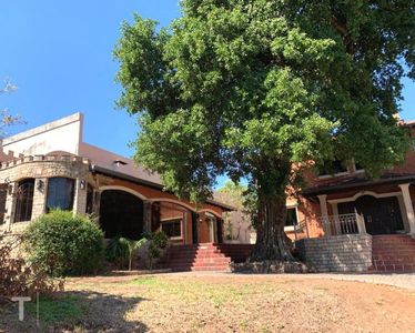 Alquilo Propiedad. Centro De Asunción. Cod Lg