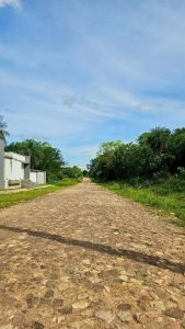 Amplio terreno en San Bernardino Ciervo Cua Foto 2 de 4