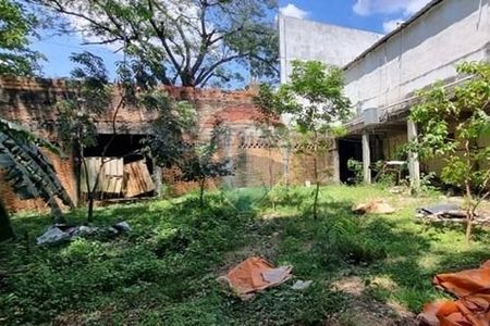 Amplio Terreno en venta s/ la Avda Felix Bogado