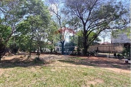 Amplio Terreno en venta s/ la Avda Felix Bogado Picture 3 of 10