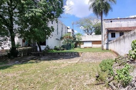 Amplio Terreno en venta s/ la Avda Felix Bogado Foto 3 de 6