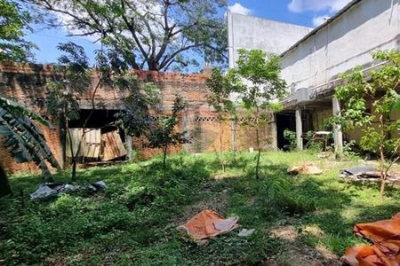 Amplio Terreno en venta s/ la Avda Felix Bogado Foto 5 de 6