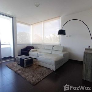 Apartamento de 1 Habitación en Alquiler en Curridabat for ₡603,000/mo  Foto 2 de 5