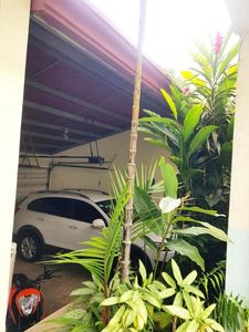  Apartamento en Alquiler – Pinares de Curridabat