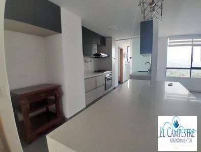 Apartamento en Arriendo Los Balsos Medellin