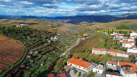 Apartamento para comprar em São João da Pesqueira, Portugal