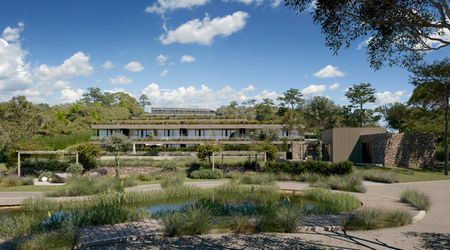 Baleia - Punta Ballena - Uruguay