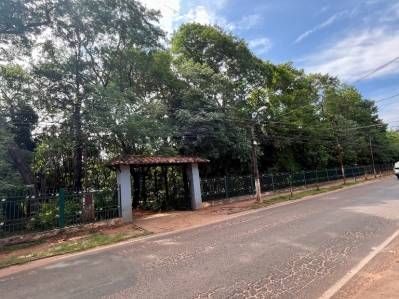 ¿Buscás el equilibrio perfecto entre naturaleza y estrategia?