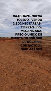 CAAGUAZU-NUEVA TOLEDO. VENDO 2.802 HECTÁREAS