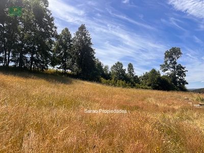 Campo de 6 hectáreas en Fresia Foto 1 de 2