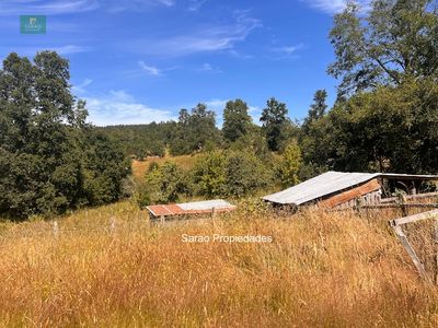 Campo de 6 hectáreas en Fresia Foto 2 de 2