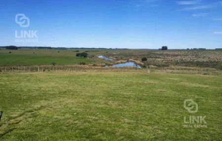 Campo en Las Garzas