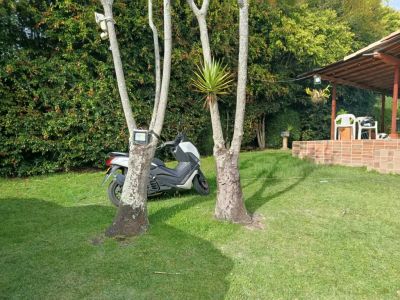 Casa Campestre en Venta en Laureles, Medellín Foto 2 de 12