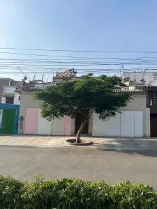 Casa Y/o Oficinas En La Molina De 300 M2, Javier Prado Este