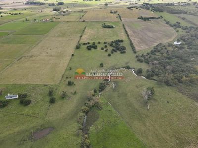 Chacra de 5 has en Los Cerrillos, cañada, muy