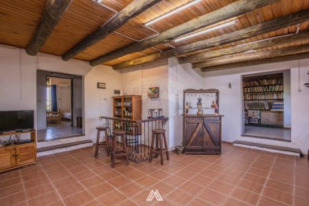 CHACRA EN VENTA - 5 DORMITORIOS - 2,7 HAS - SAUCE Foto 3 de 17