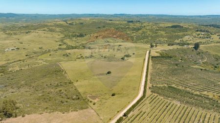 Chacra en venta entre R 39 y 12 - Oportunidad!!! Foto 2 de 10