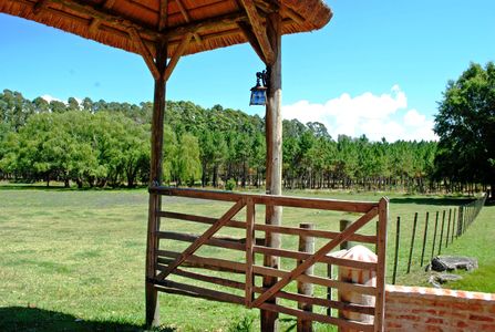 Chacra Punta Ballena con costa a la laguna. Con Financiación.
