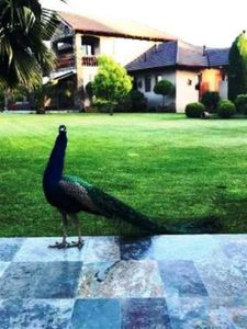 Condominio El Polo La Merced Requinoa Imagem 8 de 10