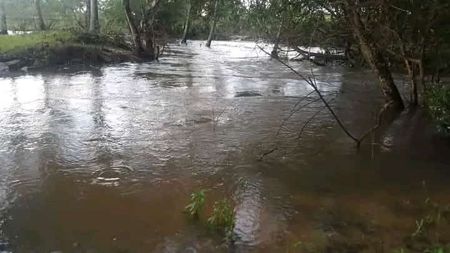 DEPARTAMENTO DE CORDILLERA-NUEVA COLOMBIA.  VENDO PROPIEDAD DE 4,6 HECTÁREAS CON HERMOSO ARROYO 