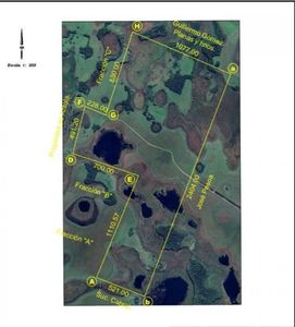 DEPARTAMENTO DE ÑEEMBUCU-TACUARAS VENDO 206 HECTÁREAS FRENTE CON TERRAPLÉN Y ELECTRICIDAD