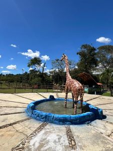 EDIFICA GRUPO INMOBILIARIO Vende Mini Finca Con Moderna Casa en Sabana del Medio Carabobo