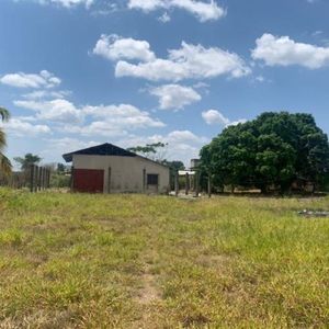 En Venta Finca En Taguanes, Via Tinaquillo, Cojedes C-12900