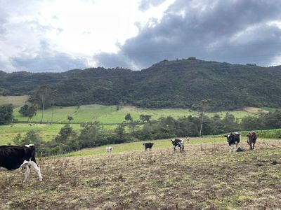 EXCELENTE LOTE A 9 KMS DE TABIO 10.400MTS