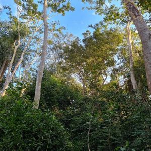 Excelente Oportunidad EN VENTA TERRENO en la maravillosa ciudad de ATYRA Foto 2 de 6