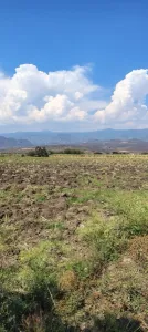 Excelente terreno habitacional
