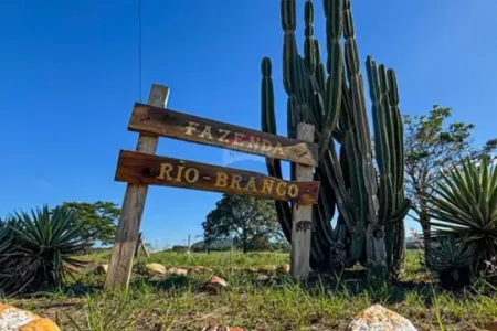 Fazenda à Venda em Rifaina-SP | 134 Alqueires | Renda com Cana e Pasto | Beira Rio Grande