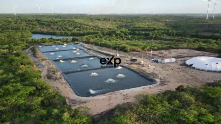 Fazenda em Traíri 159 Hectares com Criação de Camarões!!!