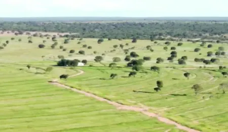 Fazenda para Venda em Urucuia