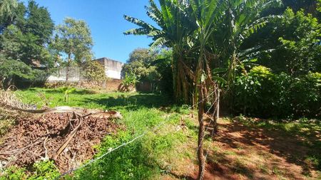 Fernando De La Mora. Cod Lg