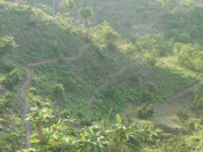 Finca a proxima de santa marta tronco del Caribe Guachaca Foto 2 de 7