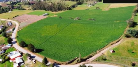 Finca en Venta