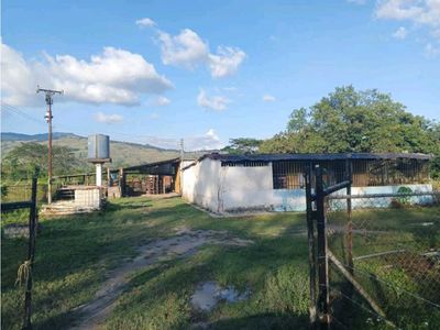 Finca En Venta En Bejuma Dl-8285045