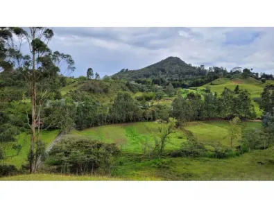 Finca en Venta en El higueron, Rionegro