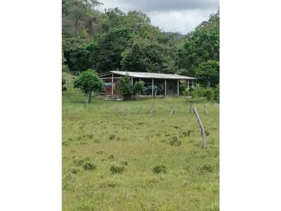 Finca en Venta en Natagaima