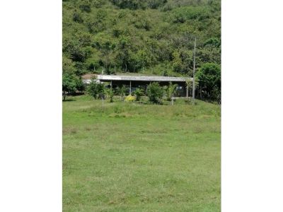 Finca en Venta en Natagaima Foto 2 de 30