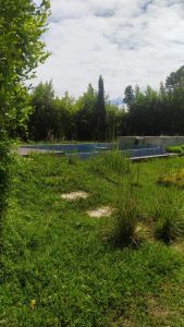 Finca en Venta en Pereira
