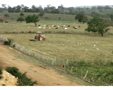 Finca Ganadera En Falcón,  San Juan De Los Cayos
